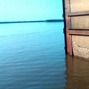 ���������� ���������, ���� ������� ���������, 38 ���, ������������ ��� ����� � ���������, c�������� ���������