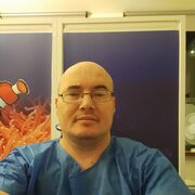  ,   Roma, 41 ,   