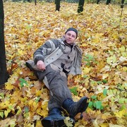   ,   , 49 ,   