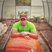 ���������� �������, ���� ������� ����, 36 ���, ������������ ��� ������, ����� � ���������, c�������� ���������