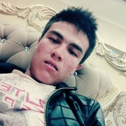  -,   Wolf, 25 ,   ,   , c , 