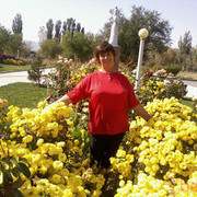 ���������� ������, ���� ������� �����, 63 ����, ������������ ��� ������, ����� � ���������, c�������� ���������