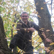 ���������� ������, ���� ������� ������, 38 ���, ������������ ��� ����� � ���������, c�������� ���������