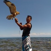 ���������� �����, ���� ������� ����, 33 ����, ������������ ��� ������, ����� � ���������, c�������� ���������, ���������