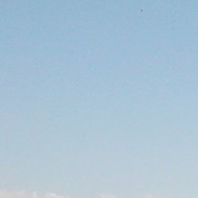  -,   , 39 ,   ,   , c 
