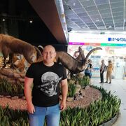 ���������� ������������, ���� ������� ��������, 31 ���, ������������ ��� ������, ����� � ���������, c�������� ���������