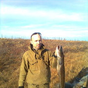 ���������� ��������, ���� ������� ������, 46 ���, ������������ ��� ������