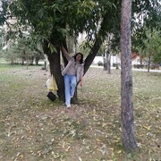 ���������� ����, ���� ������� ����, 58 ���, ������������ ��� c�������� ���������, ���������