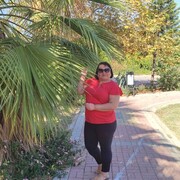  Roeselare,   , 46 ,   ,   