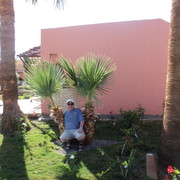  ,   , 60 ,   