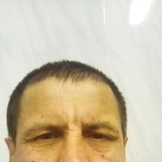  ,   , 61 ,     , c 