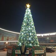 ���������� �������, ���� ������� ���������, 27 ���, ������������ ��� ����� � ���������, c�������� ���������