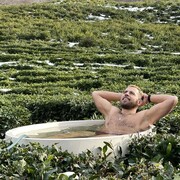 ���������� �����, ���� ������� �����, 41 ���, ������������ ��� ����� � ���������, c�������� ���������, ���������