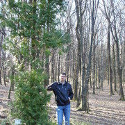 ���������� �������, ������� ���������, 47