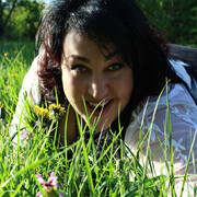 ���������� ���������, ���� ������� ����, 49 ���, ������������ ��� ������, ����� � ���������