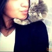  ,   , 33 ,   ,   , c , 