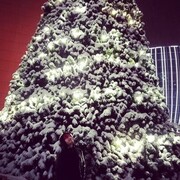 ���������� ������, ���� ������� ����, 26 ���, ������������ ��� ������, ����� � ���������