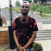 ���������� ������, ���� ������� Mudi, 31 ���, ������������ ��� ������, ����� � ���������, c�������� ���������