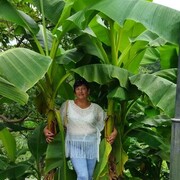  ,   Mari, 56 ,   