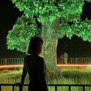 ���������� ������, ���� ������� ���, 30 ���, ������������ ��� ����� � ���������, c�������� ���������, ���������