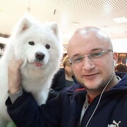 ���������� �������, ���� ������� Nicolai, 40 ���, ������������ ��� ������, ����� � ���������