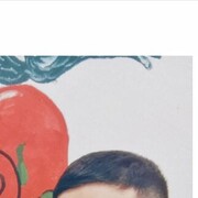  Soest,   KEBAR, 34 ,     , c 