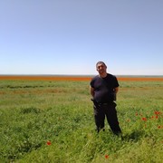 ���������� ���������, ���� ������� �����, 51 ���, ������������ 