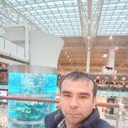 ���������� ����������, ������� �����, 41