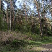 ���������� �����������, ���� ������� �����, 51 ���, ������������ ��� ������, ����� � ���������