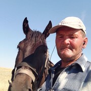 ���������� ������, ���� ������� �������, 48 ���, ������������ ��� ������, ����� � ���������