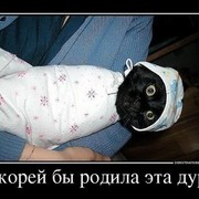 ���������� ������, ���� ������� Alimhan, 37 ���, ������������ ��� ������, ����� � ���������, c�������� ���������