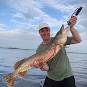 ���������� ������, ���� ������� ������, 37 ���, ������������ ��� ����� � ���������, c�������� ���������