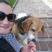 ���������� ��������������, ���� ������� ����, 41 ���, ������������ ��� ����� � ���������, c�������� ���������