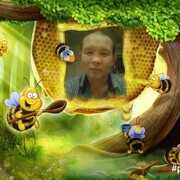 ���������� ���������, ���� ������� ����, 38 ���, ������������ ��� ������, ����� � ���������, c�������� ���������, ���������