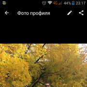  ,  , 40