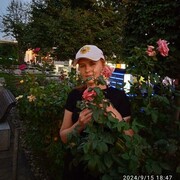  ,   , 51 ,   ,   