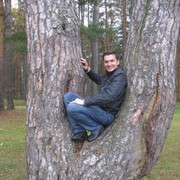  ,   , 46 ,   , 