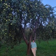 ���������� ������, ���� ������� ����, 52 ����, ������������ ��� c�������� ���������