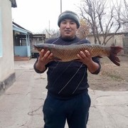 ���������� ������, ���� ������� ����, 46 ���, ������������ ��� ������, ����� � ���������, c�������� ���������