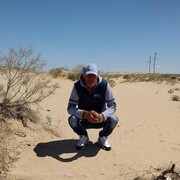 ���������� �������, ���� ������� �����, 48 ���, ������������ ��� ������, ����� � ���������, c�������� ���������, ���������