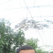  ,   , 33 ,   ,   