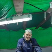  ,   , 54 ,   , 