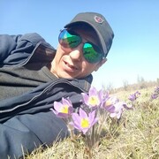  ,   , 40 ,   ,   