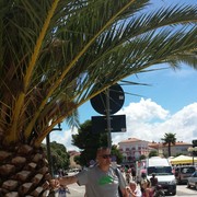  ,  Mazylis, 51