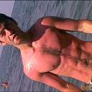  ,   Dato, 37 ,   