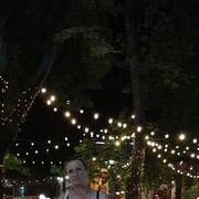 ���������� ����������, ���� ������� �����, 54 ����, ������������ ��� ����� � ���������, c�������� ���������, ���������