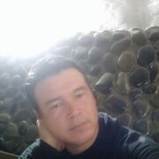 ���������� ���������, ���� ������� �����, 33 ����, ������������ ��� ������, ����� � ���������, c�������� ���������, ���������