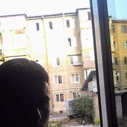 ���������� ������, ���� ������� �����, 33 ����, ������������ ��� ������, ����� � ���������