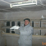  ,   ALEKSANDR, 76 ,   ,   , c , 