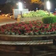 ���������� ������, ���� ������� �����, 49 ���, ������������ ��� ������, ����� � ���������